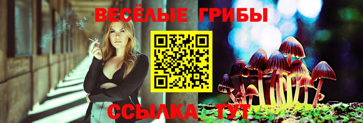 Сертолово  Псилоцибиновые грибы ЛСД  Вход с VPN  Галлюциногенные грибы MAGIC MUSHROOMS 